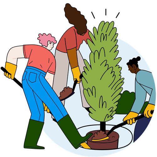 Image of people planting a tree
